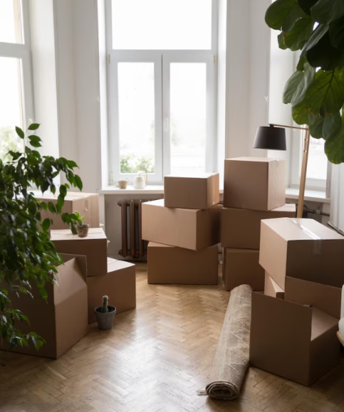 Captura de pantalla 2026-04-01 165601