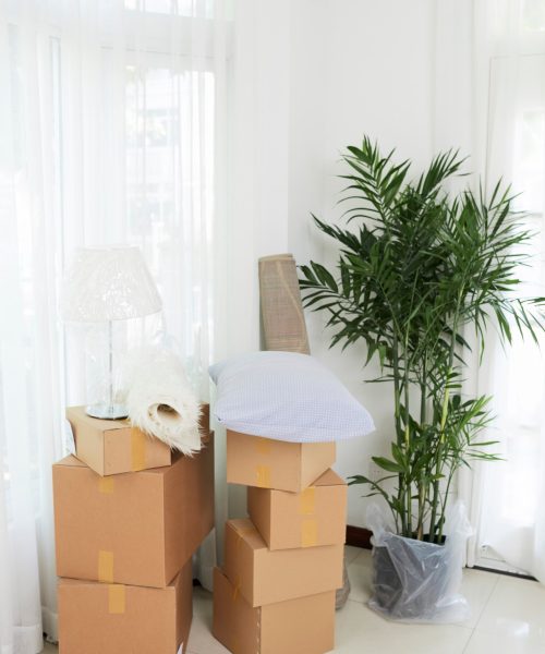 cajas-macetas-nuevo-apartamento_1098-21590