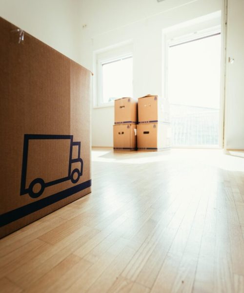 mover-cajas-carton-mudarse-nuevo-hogar-limpio-brillante_264749-946
